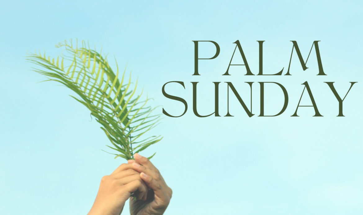 Palm Sunday 2024: Majesty